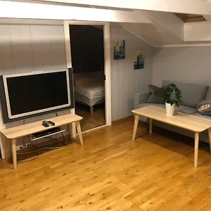 https://birkebeiner-apartment.hotelsinbergen.net